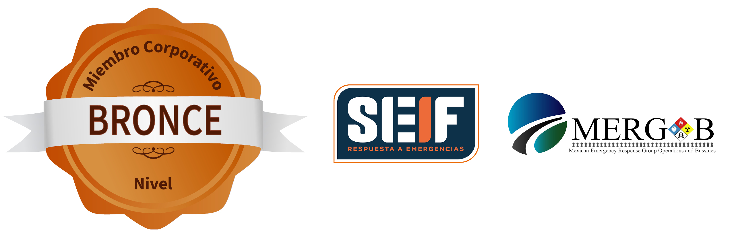 Bronze Corporate Member TRANSCAER Mexico 